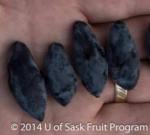 Blizzard U of S 150.jpg